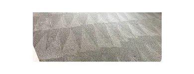 Business 1 image THE STEAM MASTER FLORIDA LLC Carpet & Rug Cleaners in Deltona FL