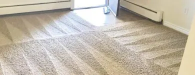 Business 2 image THE STEAM MASTER FLORIDA LLC Carpet & Rug Cleaners in Deltona FL