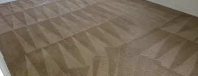 Business 3 image THE STEAM MASTER FLORIDA LLC Carpet & Rug Cleaners in Deltona FL