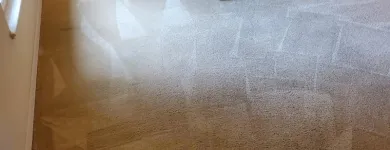 Business 4 image THE STEAM MASTER FLORIDA LLC Carpet & Rug Cleaners in Deltona FL