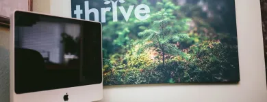 Business 1 image THRIVE INTERNET MARKETING AGENCY Web Design & Development in Houston TX