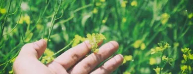 Business 5 image TOMS RIVER LANDSCAPING in Lakewood NJ