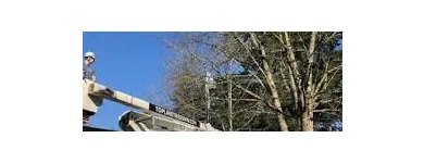 Business 4 image TOPLINE TREE SERVICE Stump Grinding in Portland OR