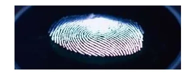 Business 2 image TRACY INVESTIGATIONS Process Servers in Apple Valley MN