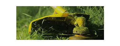 Business 3 image TREE SERVICE CUTTING & REMOVAL Tree Service in New York NY