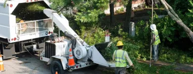 Business 2 image TREE SERVICE EXPERTS FORT WORTH in Fort Worth TX