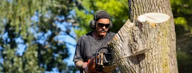 Business 3 image TREE SERVICE PRO SACRAMENTO Tree Service in Sacramento CA