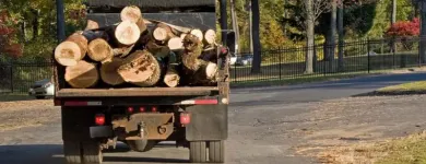 Business 10 image TREE SERVICE STAMFORD Tree Service in Stamford CT