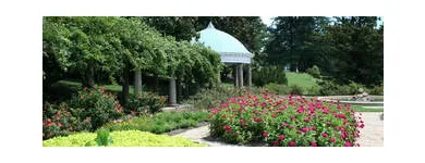 Business 11 image TREE SERVICE STAMFORD Tree Service in Stamford CT