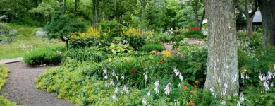 Business 6 image TREE SERVICE STAMFORD Tree Service in Stamford CT