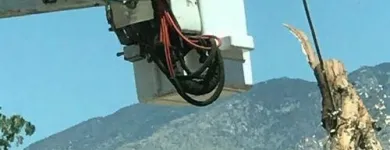 Business 3 image TREES R US LLC Tree Trimming Service in Tucson AZ