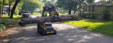 Business 1 image TRUE TREE SOLUTIONS Tree Service in Brooklyn Park MN