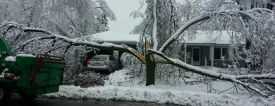 Business 2 image TRUE TREE SOLUTIONS Tree Service in Brooklyn Park MN