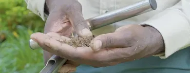 Business 2 image TRUGREEN LAWN CARE Science Based Plans in Dallas TX