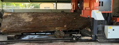 Business 6 image TRUWOOD BUILDERS LLC Woodworking Equipment & Supplies in Sacramento CA