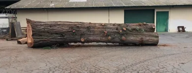 Business 9 image TRUWOOD BUILDERS LLC Woodworking Equipment & Supplies in Sacramento CA