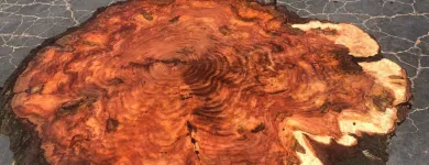 Business 20 image TRUWOOD BUILDERS LLC Woodworking Equipment & Supplies in Sacramento CA