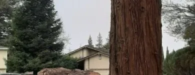 Business 28 image TRUWOOD BUILDERS LLC Woodworking Equipment & Supplies in Sacramento CA