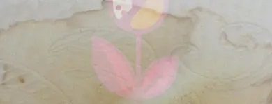 Business 18 image TULIP CARPET CLEANING PORT WASHINGTON in Port Washington NY