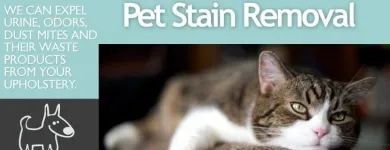 Business 1 image UCM UPHOLSTERY CLEANING Flooring Contractors in Baltimore MD