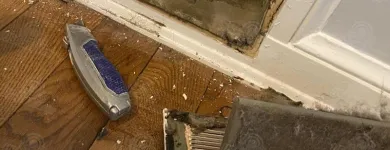 Business 1 image USA CLEAN MASTER Mold Testing & Removal in Gaithersburg MD
