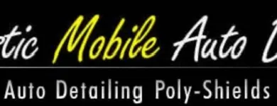 Business 6 image VANTASTIC MOBILE AUTO DETAILING Auto Detailing Service in Kent WA