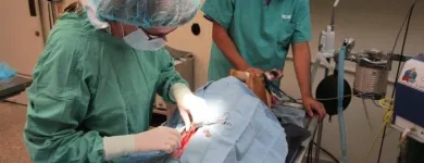Business 4 image VCA MAIN STREET ANIMAL HOSPITAL Vets in in San Diego CA