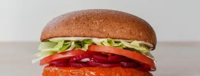 Business 9 image VEGGIE GRILL in Walnut Creek CA