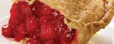 Business 2 image VILLAGE INN Village Inn in Riverview FL