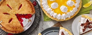 Business 5 image VILLAGE INN Village Inn in Riverview FL