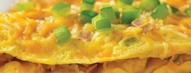 Business 7 image VILLAGE INN Village Inn in Riverview FL