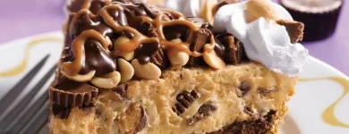 Business 10 image VILLAGE INN Village Inn in Riverview FL