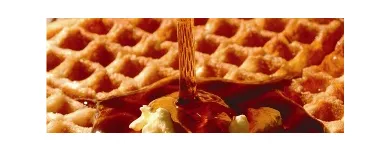 Business 3 image WAFFLE HOUSE Restaurants in Hampton GA