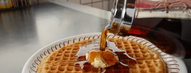 Business 1 image WAFFLE HOUSE Restaurants in Hampton GA