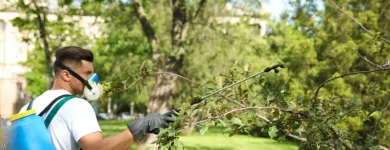 Business 6 image WALNUT CREEK TREE SERVICE Tree Stump Removal Services in Walnut Creek CA