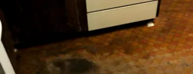 Business 2 image WATER DAMAGE REPAIR BROOKLYN General Contractors in Brooklyn NY