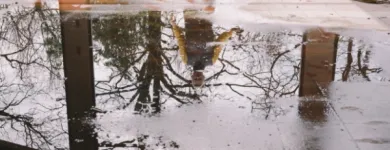 Business 2 image WATER DAMAGE RESTORATION NEAR ME LONG ISLAND Water Damage Restoration in Washington Mills NY