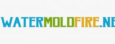 Business 6 image WATER MOLD FIRE RESTORATION OF MIAMI Water Damage Restoration in Miami FL