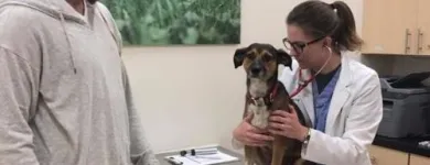 Business 2 image WELLCARE VETERINARY SERVICES Veterinarians in Chicago IL