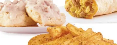 Business 11 image WENDY'S What's new at wendy's in Chicago IL