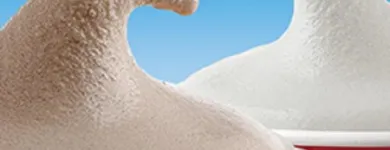 Business 13 image WENDY'S What's new at wendy's in Indianapolis IN