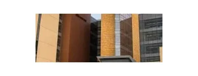 Business 1 image WILLIAM ARMSTRONG, MD | UCI HEAD & NECK Otolaryngologist in Orange CA