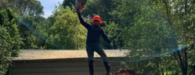 Business 5 image WILLIAMS TREE SERVICE Tree Trimming Service in Indianapolis IN