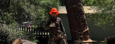 Business 6 image WILLIAMS TREE SERVICE Tree Trimming Service in Indianapolis IN