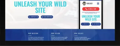 Business 2 image WISE GUYS WEB DESIGN Web Hosting & Domain Name Registration in Scottsdale AZ