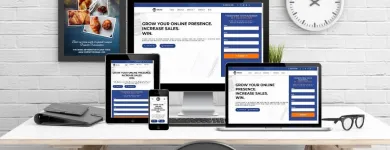 Business 5 image WISE GUYS WEB DESIGN Web Hosting & Domain Name Registration in Scottsdale AZ