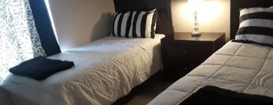 Business 1 image YANIVET CLEANING SERVICES in Deltona FL