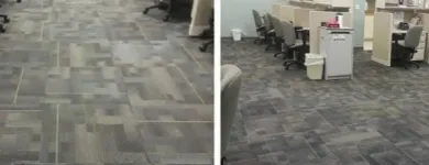 Business 2 image YANIVET CLEANING SERVICES in Deltona FL