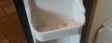 Business 3 image YANIVET CLEANING SERVICES in Deltona FL