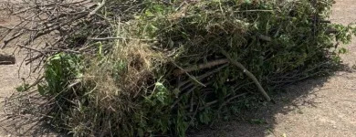 Business 4 image YARD SHARKS Mulch Installation in Weatherford TX